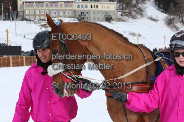 ET0Q0493 prot